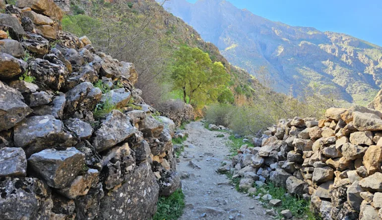 فاصله کرمانشاه تا روستای روستای دیوزناو سروآباد