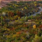 روستای بوژان؛ گنجی پنهان در دل خراسان