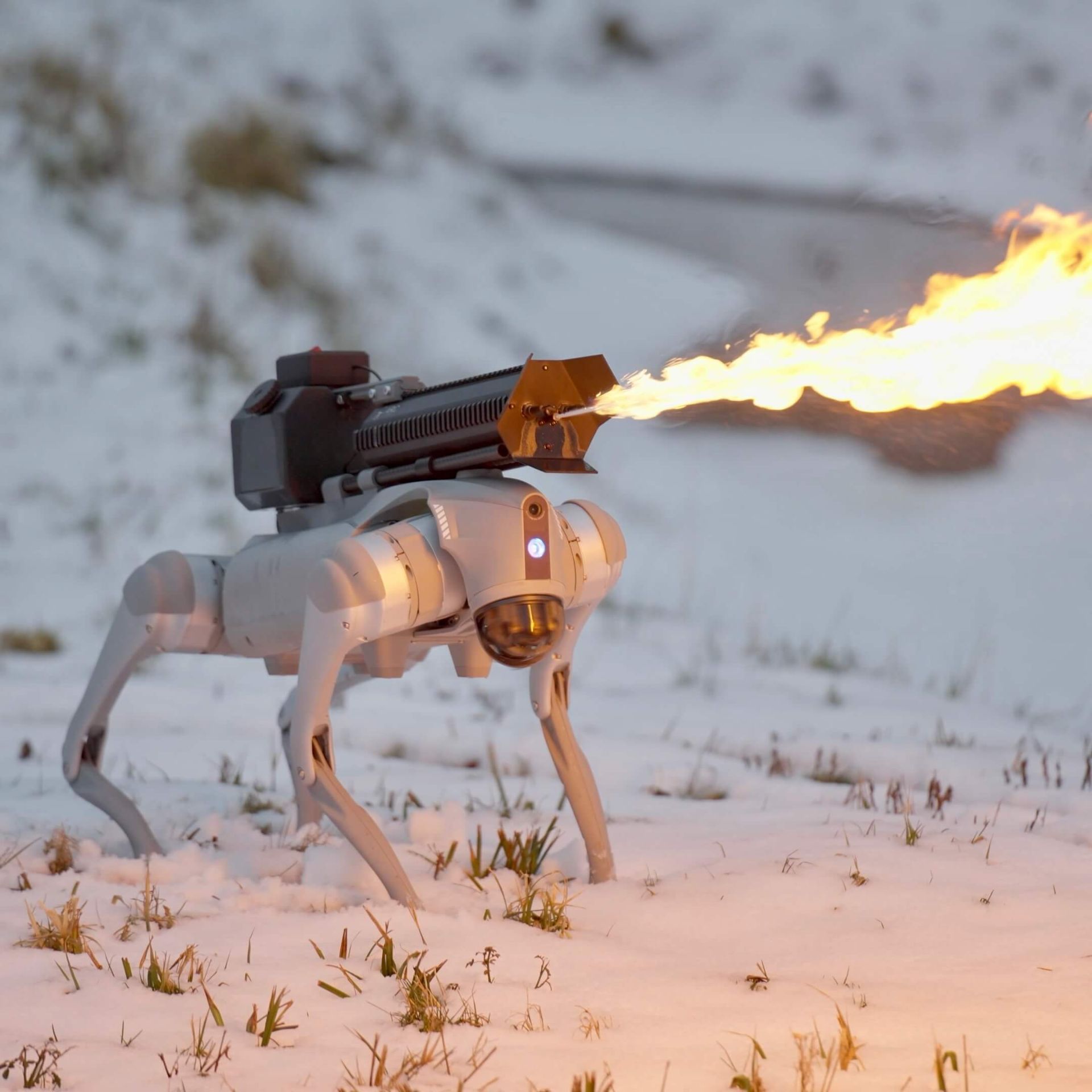 quadruped-robot-flamethrower-67438ab9f562871352f59fa7 ربات چهارپا با شعله افکن