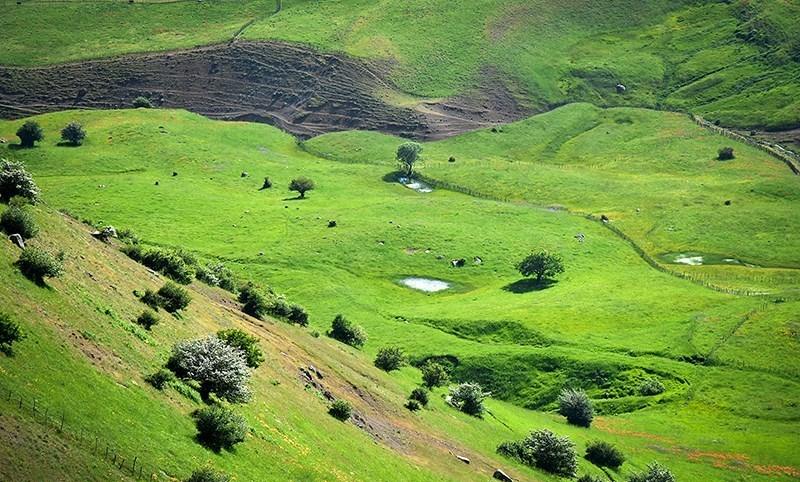 پوشش گیاهی ییلاق سوباتان. منبع: ویکی مدیا؛ عکاس: خدیجه نادری