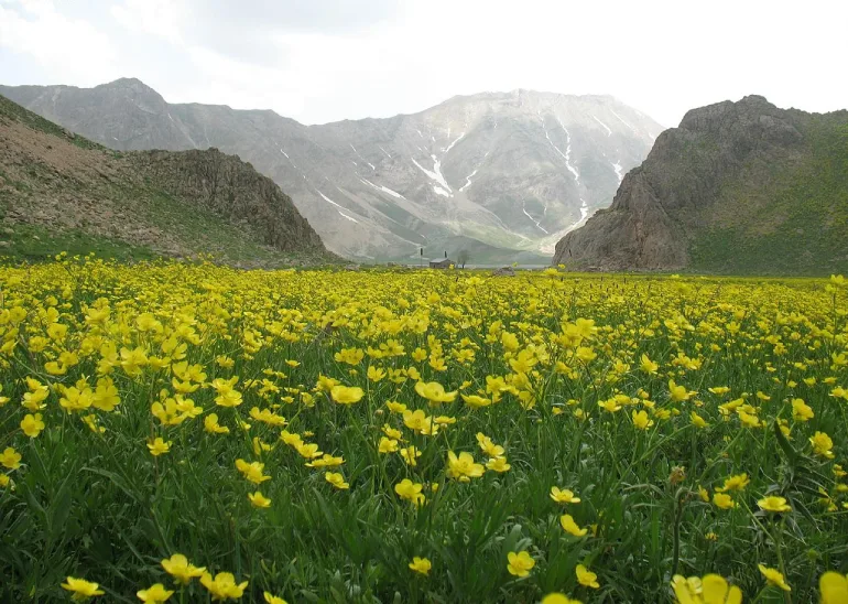 رود سفید آب