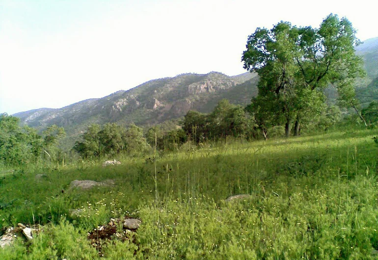 لیست جاهای دیدنی یاسوج