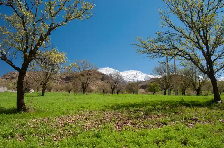 کمپینگ