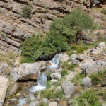 سی سخت؛ شهر باغ‌ها و آبشارها