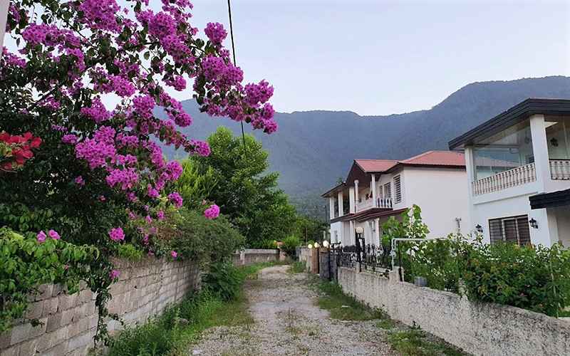 روستای چلندر در بهار، منبع عکس: گوگل مپ، عکاس: alireza soveyzi