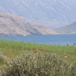 سد درودزن فارس؛ آرامشی آنسوی موجها 23 دریاچه پریشان فارس؛ دریاچهای پریشان از خشکی